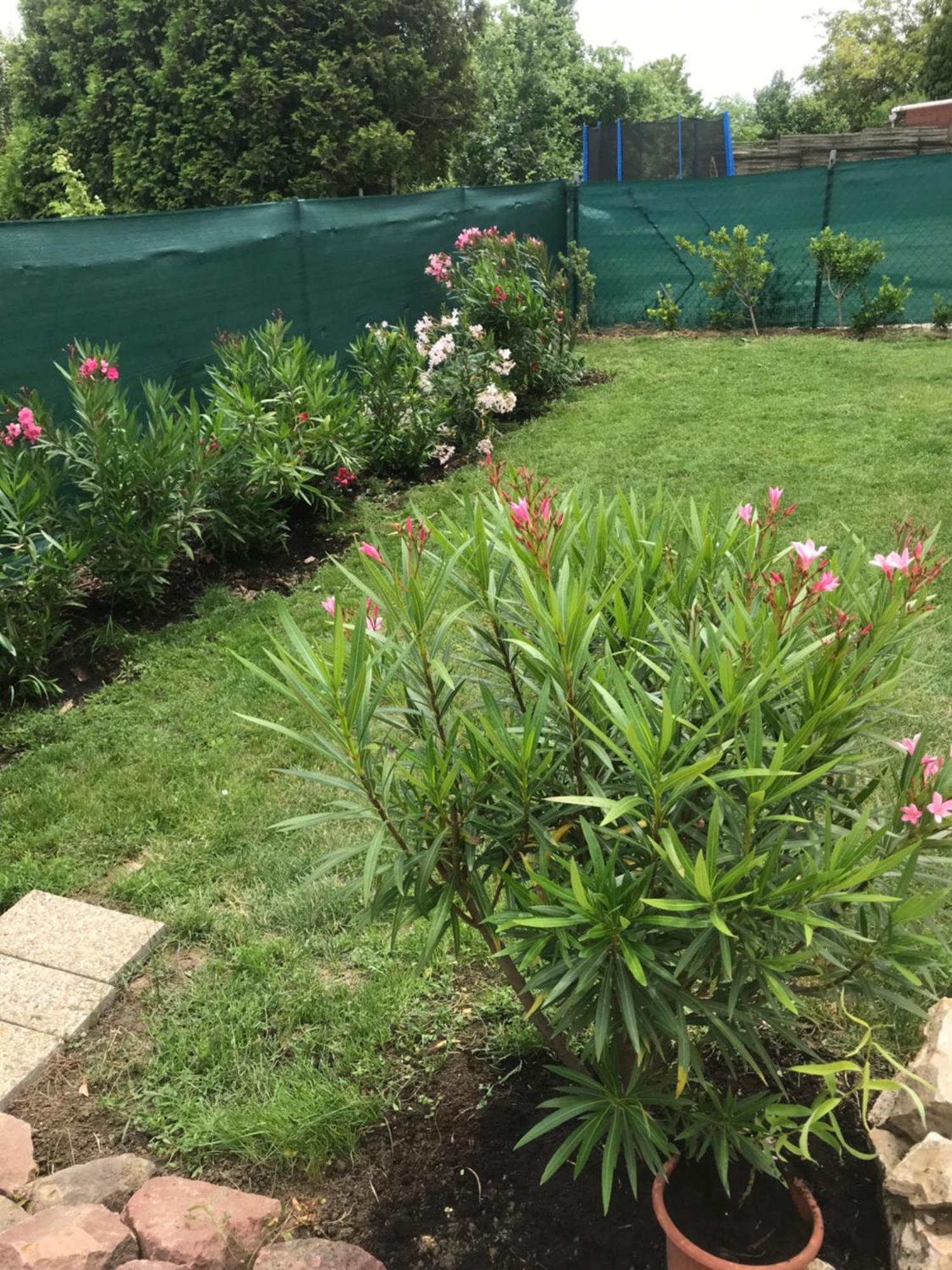 Kisvakond Vendeghaz Daire Jeno Dış mekan fotoğraf
